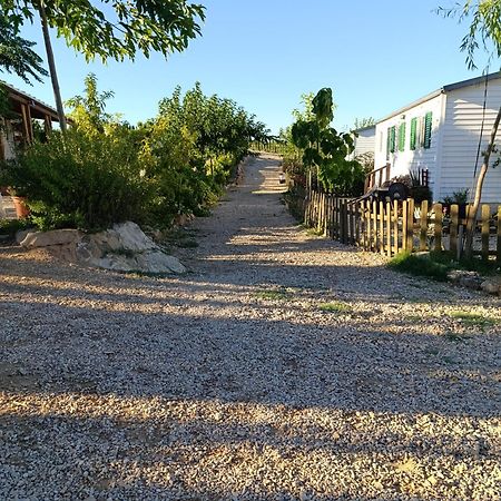Finca Los Pedrenales Villa Castelserás Eksteriør billede